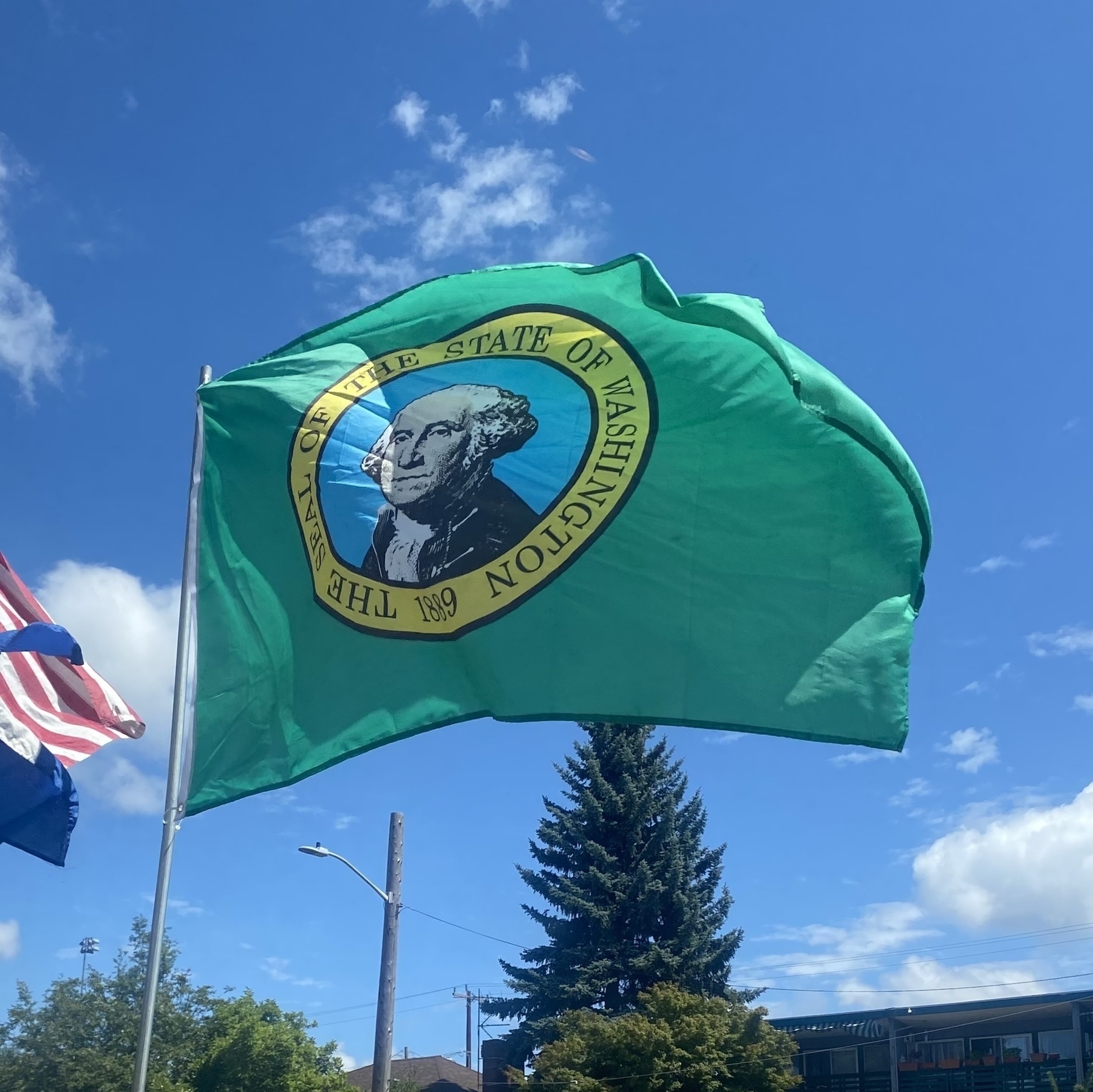 George Washington blowing in the wind on the Washington state flag.